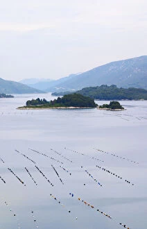 Images Dated 8th July 2006: Oyster and shellfish shell fish farm beds in the Kanal Malog Stona straight by the