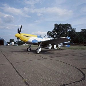 Wisconsin Prints: P-51 D Dazzling Donna at the Fleming Field in St. Paul, Minnesota