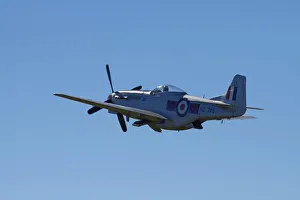 Images Dated 7th April 2012: P-51 Mustang - American Fighter Plane