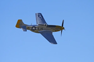 Plane Prints: P-51 Mustang - American Fighter Plane