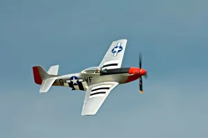 Wisconsin Prints: P-51D Mustang Fighter with D-Day markings flying in the sky