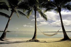 Pacific, Cook Islands, Aitutaki Palms and hammock