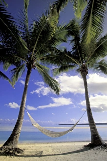 Images Dated 14th June 2011: Pacific, Cook Islands, Aitutaki Palms and hammock