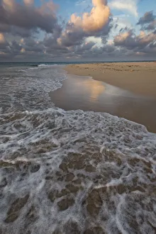 Oceania Prints: Pacific Islands, Kingdom of Tonga. Deserted sandy beach on an uninhabitated island