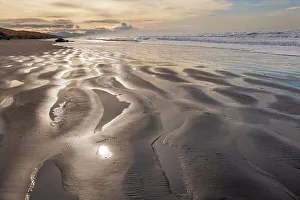 Whale Prints: Pacific Ocean beach with beached sperm whale at Fort Stevens State Park, Oregon, USA