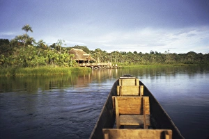 Paddling Prints: Paddling a dugout canoe on Lake Pilchicocha, Sacha Lodge, Napo River, La Providencia