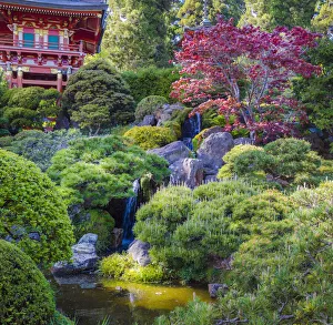 Images Dated 10th August 2020: Pagoda, Japanese Tea Garden, Golden Gate Park, San Francisco, California, USA