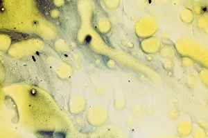Abstract Prints: Paint, oil and water