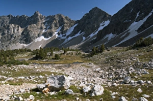 Images Dated 8th August 2007: Paintbrush Canyons alpine slopes, Grand Teton National Park, Wyoming, USA