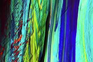 Shadow Prints: Painted abstract
