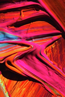 Shadow Prints: Painted abstract