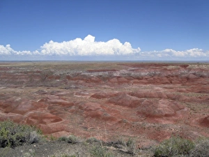 Red Cliff Prints: Painted Desert from Whipple Point