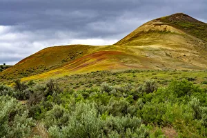 Landscape-Scenic Prints: Painted Hills and golden bee plants