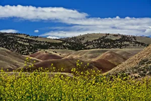 Landscape Prints: Painted Hills Mitchell Oregon USA
