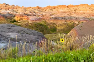 A painterly image of softer hoodoos set against a row of wildflowers and grass