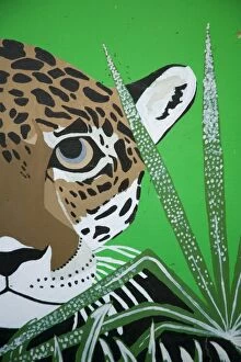 Painting of jaguar, Belize Zoo, Belize