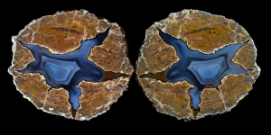 Natural Pattern Prints: Pair of Matching Thunderegg Agates, Quartzsite, AZ