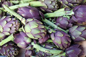 Prints of Palermo, Sicily. Artichokes for sale at the Ballaro market Images Dated 2024 December: Palermo, Sicily. Artichokes for sale at the Ballaro market