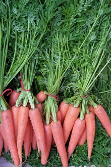 Prints of Palermo, Sicily. Fresh carrots for sale at the Ballaro market Images Dated 2024 December: Palermo, Sicily. Fresh carrots for sale at the Ballaro market