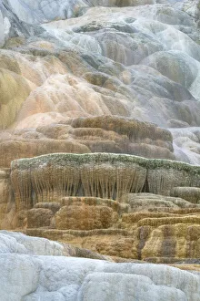 Palette Spring Terraces composed of travertine deposits colored by thermophilic bacteria Palette Spring Terraces composed of travertine deposits colored by thermophilic bacteria