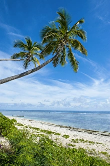 Images Dated 21st June 2011: Palm fringed Kolovai beach, Tongatapu, Tonga, South Pacific