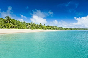 Tonga Prints: Palm fringed white sand beach in Haa'apai, Haapai, islands, Tonga, South Pacific