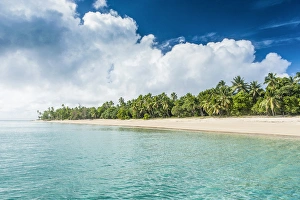 Images Dated 20th June 2011: Palm fringed white sand beach in Haa'apai, Haapai, islands, Tonga, South Pacific