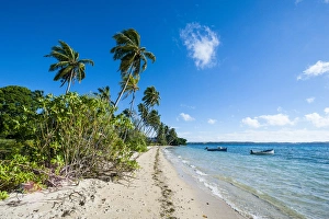 Images Dated 15th June 2011: Palm fringed white sand beach on an islet of Vavaa'u
