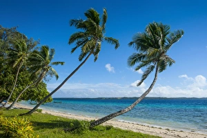 Images Dated 15th June 2011: Palm fringed white sand beach on an islet of Vavaa'u