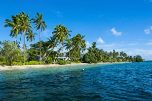Images Dated 15th June 2011: Palm fringed white sand beach on an islet of Vavaa'u