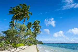 Images Dated 15th June 2011: Palm fringed white sand beach on an islet of Vavaa'u