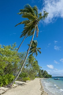 Images Dated 15th June 2011: Palm fringed white sand beach on an islet of Vavaa'u