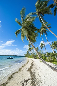 Images Dated 15th June 2011: Palm fringed white sand beach on an islet of Vavaa'u