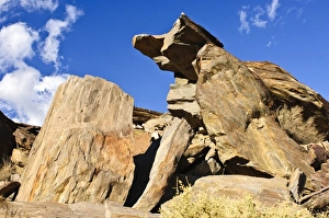 Images Dated 1st December 2007: Palm Springs, California. Andreas Canyon