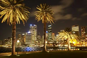 New South Wales Prints: Palm Trees
