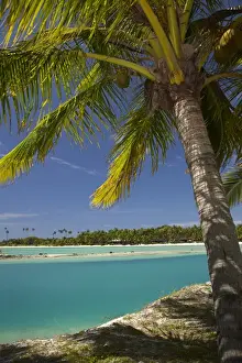 Lagoon Prints: Palm trees and lagoon entrance