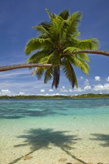 Relaxation Prints: Palm trees, Shangri-La Fijian Resort, Yanuca Island, Coral Coast, Viti Levu, Fiji
