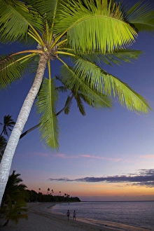 Images Dated 21st October 2011: Palm trees and sunset, Plantation Island Resort, Malolo Lailai Island, Mamanuca Islands