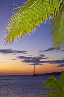 Images Dated 21st October 2011: Palm trees and sunset, Plantation Island Resort, Malolo Lailai Island, Mamanuca Islands