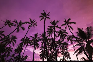 Lava Prints: Palm trees at sunset, Pu uhonua O Honaunau National Historic Park (City of Refuge)