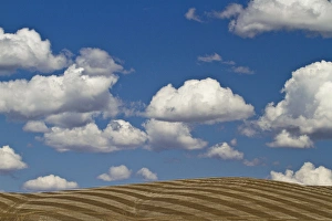 Images Dated 9th May 2010: Palouse region of eastern Washington