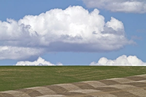 Horizon Over Land Prints: Palouse region of eastern Washington