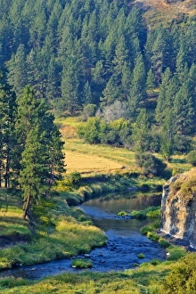 Colfax Prints: The Palouse River near Colfax, Washington