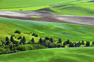 Palouse; Steptoe Butte; Cultivation; Patterns; Whitman County; Washington