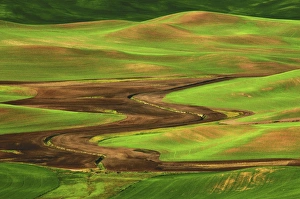 Rolling Prints: Palouse view from Steptoe Butte of Cultivation Patterns; Whitman County; Washington