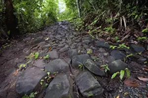 Panama, Camino del Cruiz, ruins of the old trade road that was used to transport gold