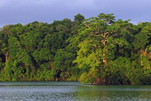 Images Dated 26th June 2006: Panama, Panama Canal