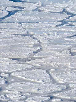 Greenland Collection: Pancake ice, new sea ice is building up. Disko Bay during winter, West Greenland