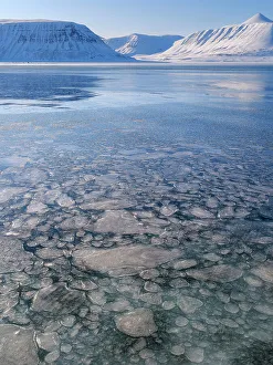 Sea Ice Prints: Pancake ice, process of forming of sea ice