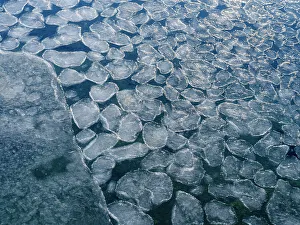 Spitsbergen Prints: Pancake ice, process of forming of sea ice